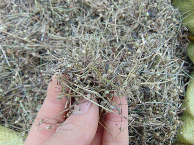 野生白花蛇舌草百花蛇舌草茶蛇舌草干货500g搭半枝莲铁树叶伊梵麦