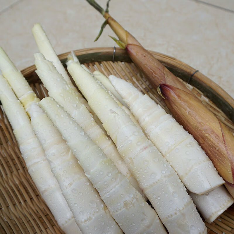 现发 野生新鲜苦笋四川乐山甜竹笋 春笋子苦竹笋嫩笋带壳 小笋4斤