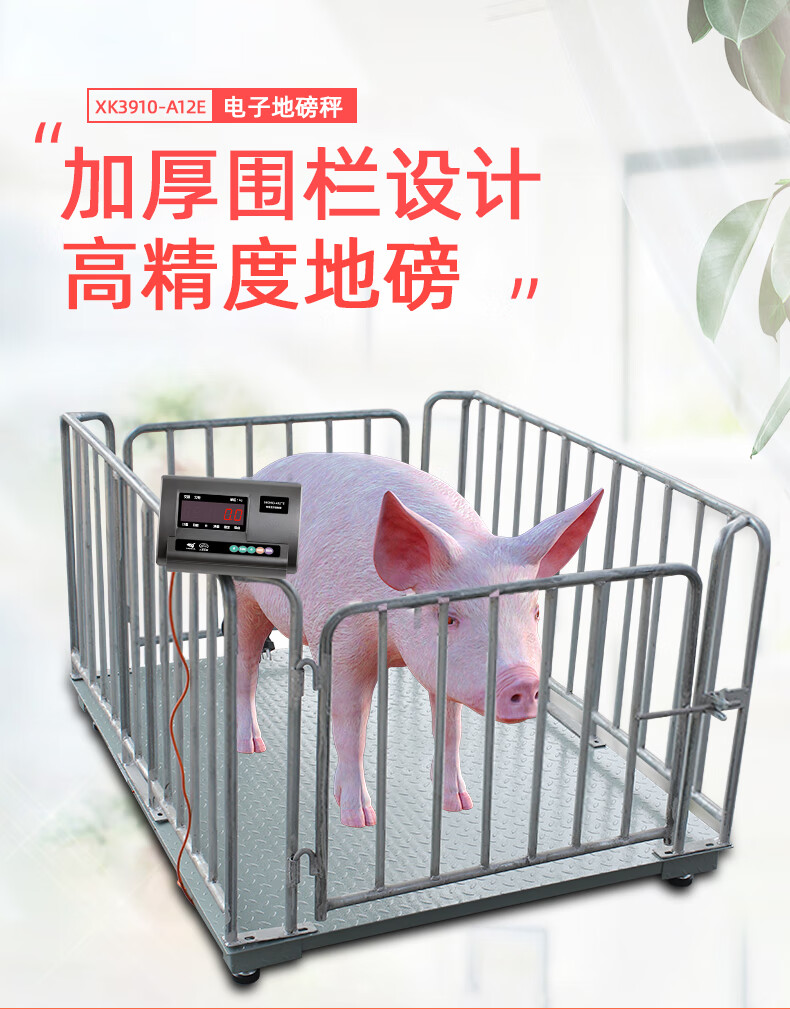 地磅秤1-3吨商用称猪带围栏地泵秤地称重台秤小型电子磅秤1000kg 1.