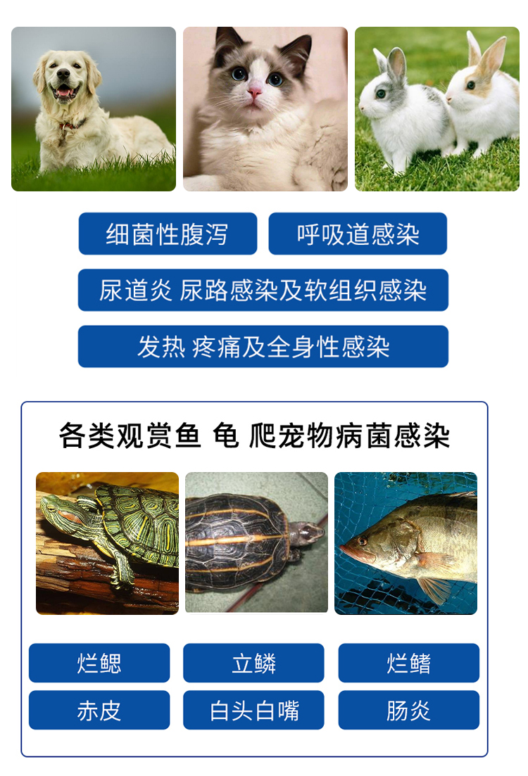 土霉素片兽用兽药猪牛羊龟鱼水族宠物狗猫用消炎鸡鸭鹅鸽子新款100片1