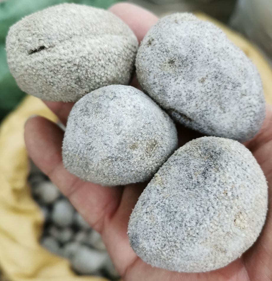 海参干货珍珠球参淡干天然深海乌元参酒店食材500克500g40头左右