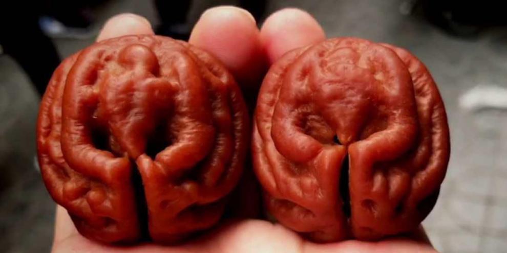 时光巷陌自然乾坤鬼脸核桃手球手把件四座楼官帽橄榄核小核桃尺寸4752