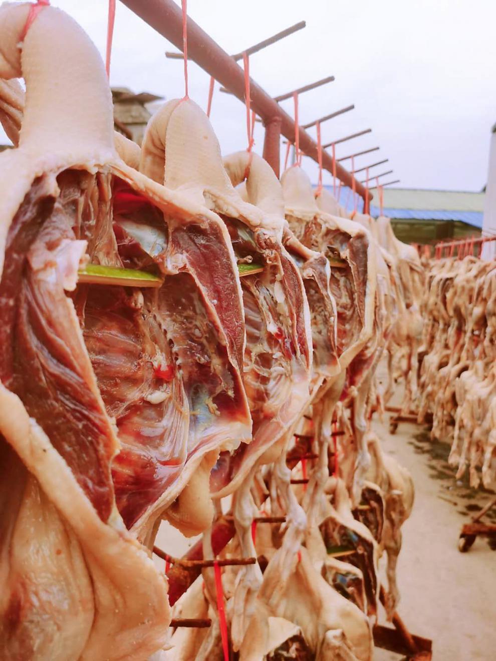 5折 溧阳 大咸鹅特色风味 散养农家腊鹅咸鸭咸 鸡