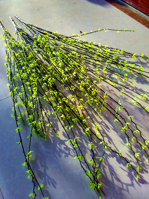 园艺仿真绿植柳树枝柳芽嫩芽 飘雪干花假花藤蔓藤条客厅落地装饰摆设