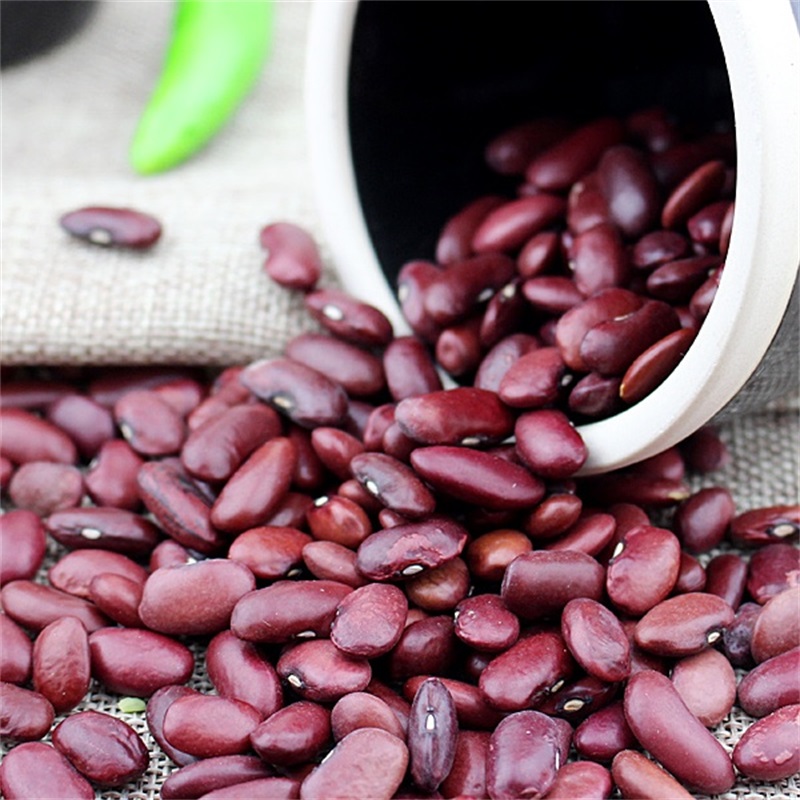 东北红芸豆5斤新鲜农大粒红扁花腰豆四季豆菜豆紫花饭豆芸豆干
