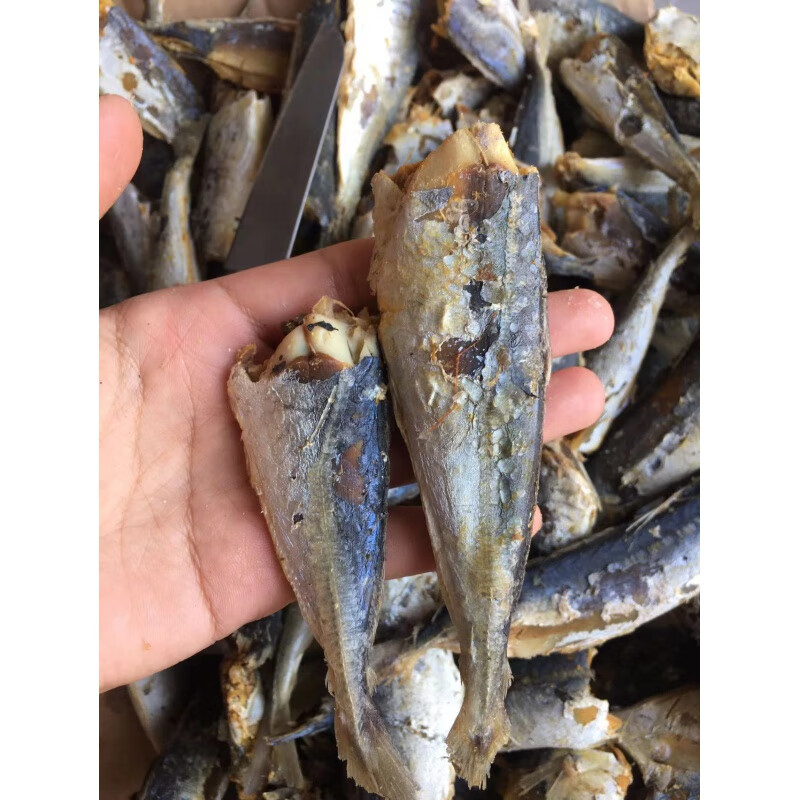 福建特產鹹巴浪魚乾好吃乾貨海鮮特產海魚巴浪魚熟魚提魚鹹魚幹整魚去