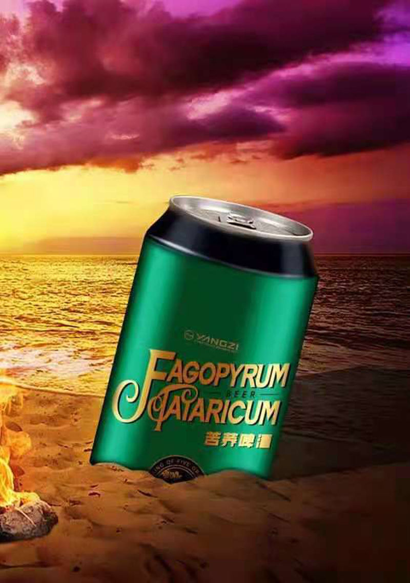 苦荞啤酒原浆啤酒罐易拉罐装整箱罐装啤酒500ml易拉罐5罐体验装10度