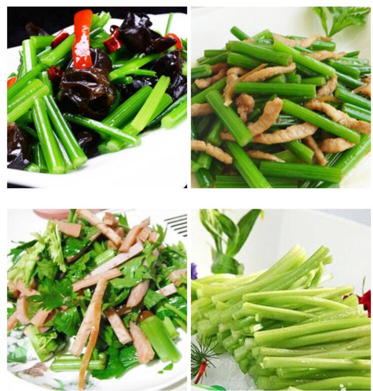 媚调 章丘鲍芹 新鲜山东原芹菜 现挖现发 清脆无渣 4斤(芽子)【图片