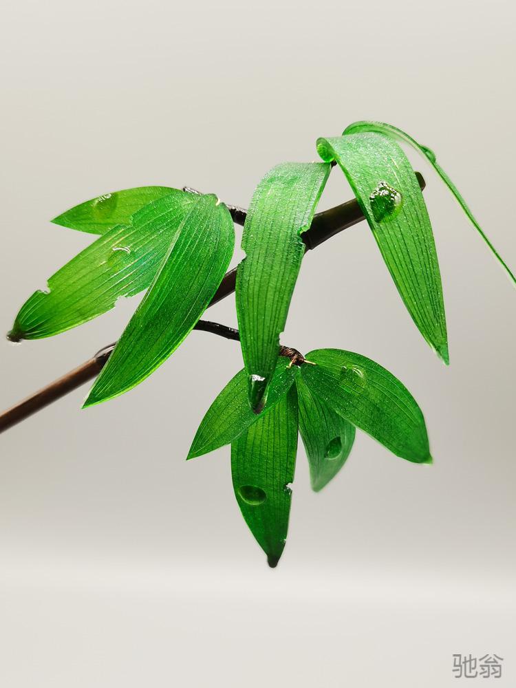 驰翁 热缩片仿真竹叶墨色竹子真竹节古风热缩花手工汉服仙气发簪 10片