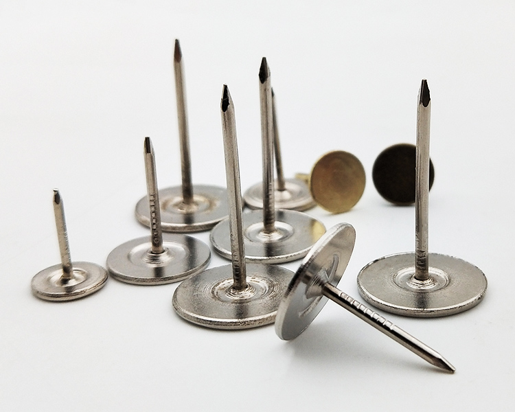 图钉摁钉不锈钢大头钉打孔安全家用 水泥钢钉加长平头钉大号每慕定制