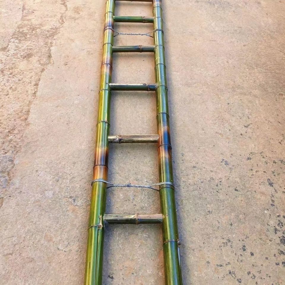 5米长普通竹梯【图片 价格 品牌 报价】-京东