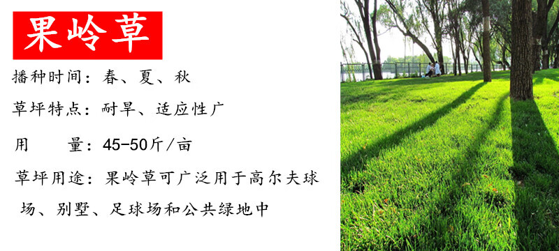 绿化修剪价格标准