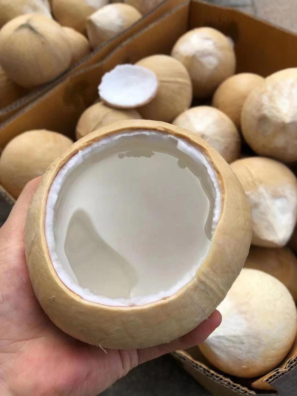 易开口奶椰产地直发泰国新鲜奶香水嫩椰子水去皮椰青孕妇水果6个9个装