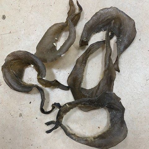 水产干货大片甲鱼裙边干货底板团淡干水鱼裙边脚鱼边55头左右250克