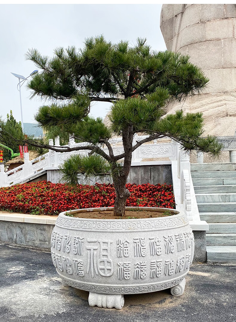 翱钒石雕花钵欧式黄锈石石材花盆底座别墅庭院水缸盆大石缸石头鱼缸