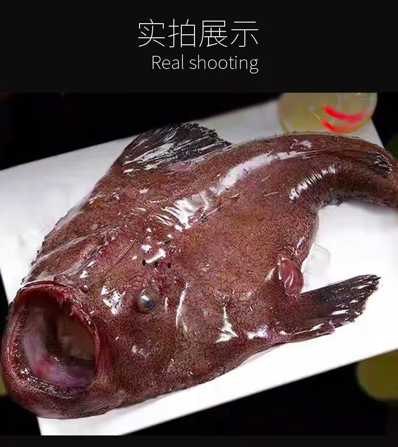 安康鱼新鲜深海大嘴鱼蛤蟆鱼速冻海鲜水产普米加罗现杀去内脏保留鱼肝