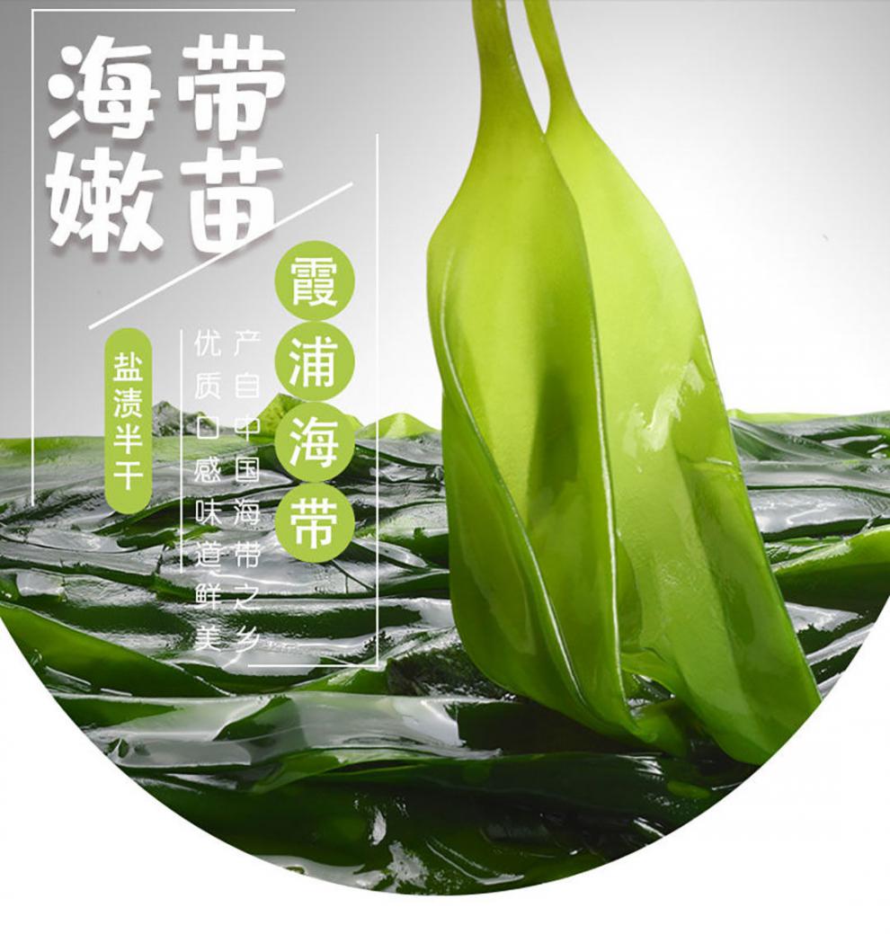 辰颐物语海带嫩苗新鲜脆嫩盐渍小海带苗嫩芽火锅凉拌炖汤霞浦特产3袋