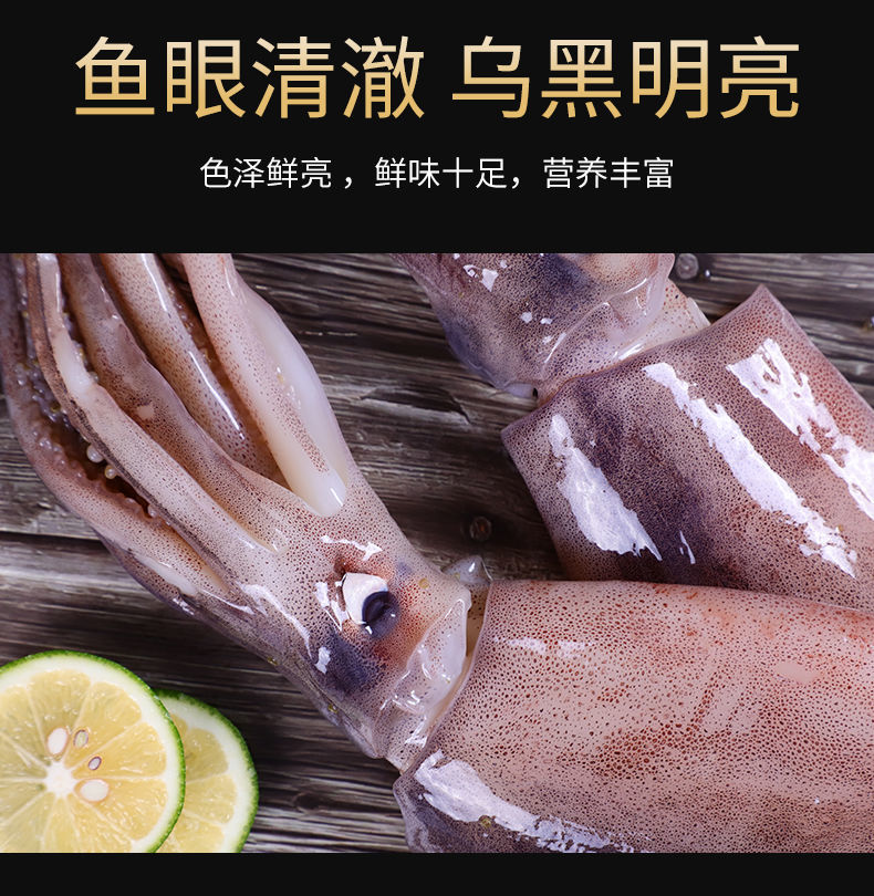 超大魷魚鮮活冷凍凍新鮮魷魚深海野生大魷魚生鮮海鮮水產 稀缺超大