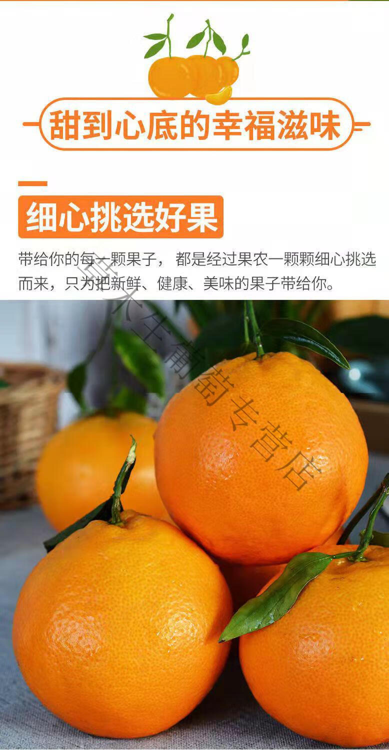 素界春见耙耙柑爆汁四川眉山果当季新鲜爆浆正宗粑粑柑春见 5斤【图片