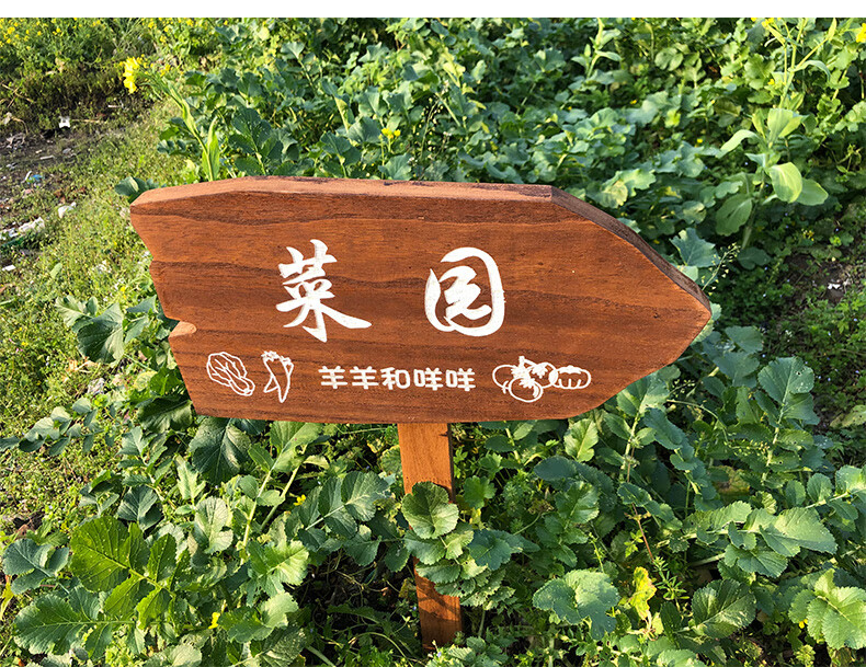插地牌定制防腐木菜园爱护花草温馨提示牌告示牌菜地绿化牌创意 款式