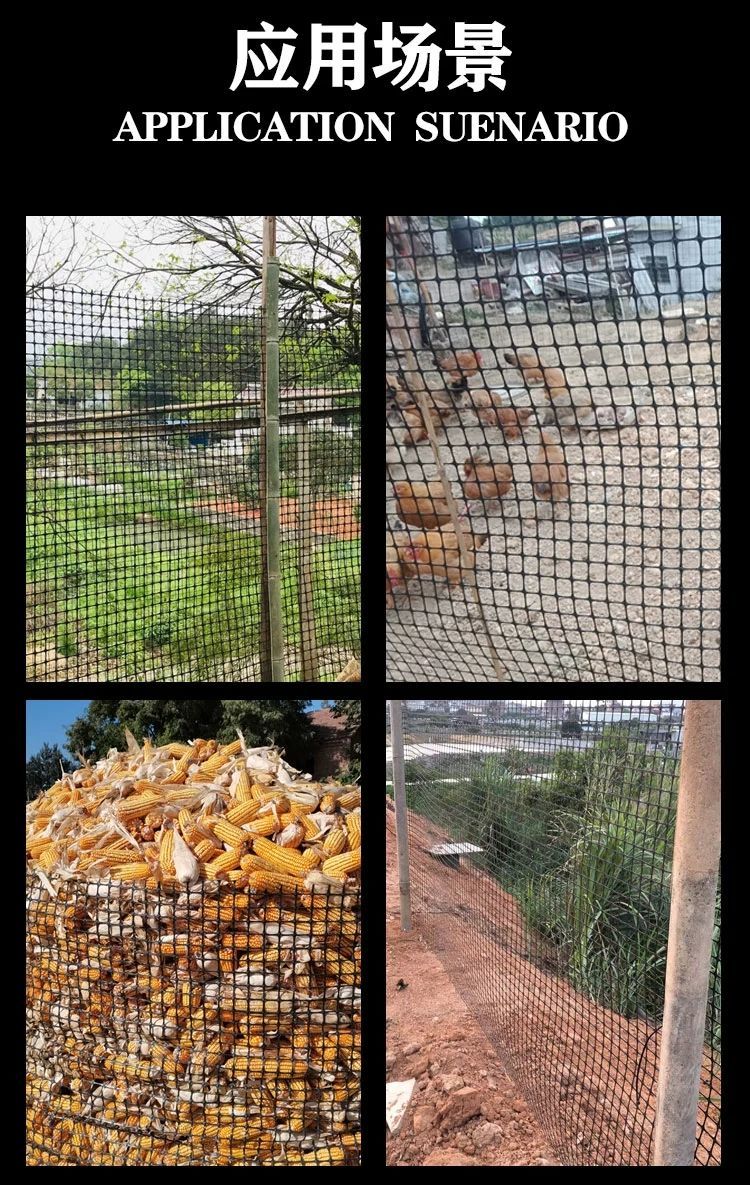 围栏网鸡网养鸡网拦鸡养殖网围网玉米网塑料网果园圈地防护网boussac
