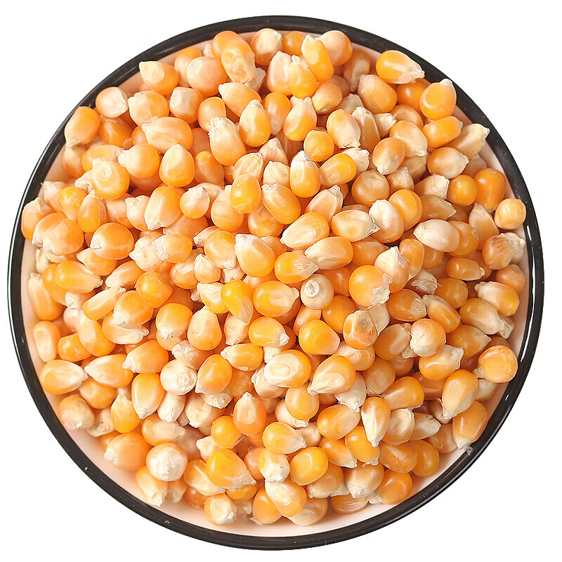 新货爆米花的玉米粒专用即食1000g大罐装玉米花苞米粒爆米花原料