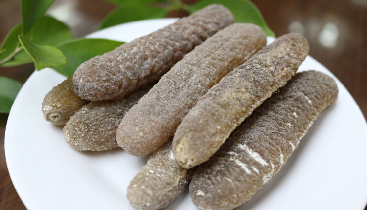 斯里兰卡海参沙秃参约45头一斤淡干货海参金沙参250g