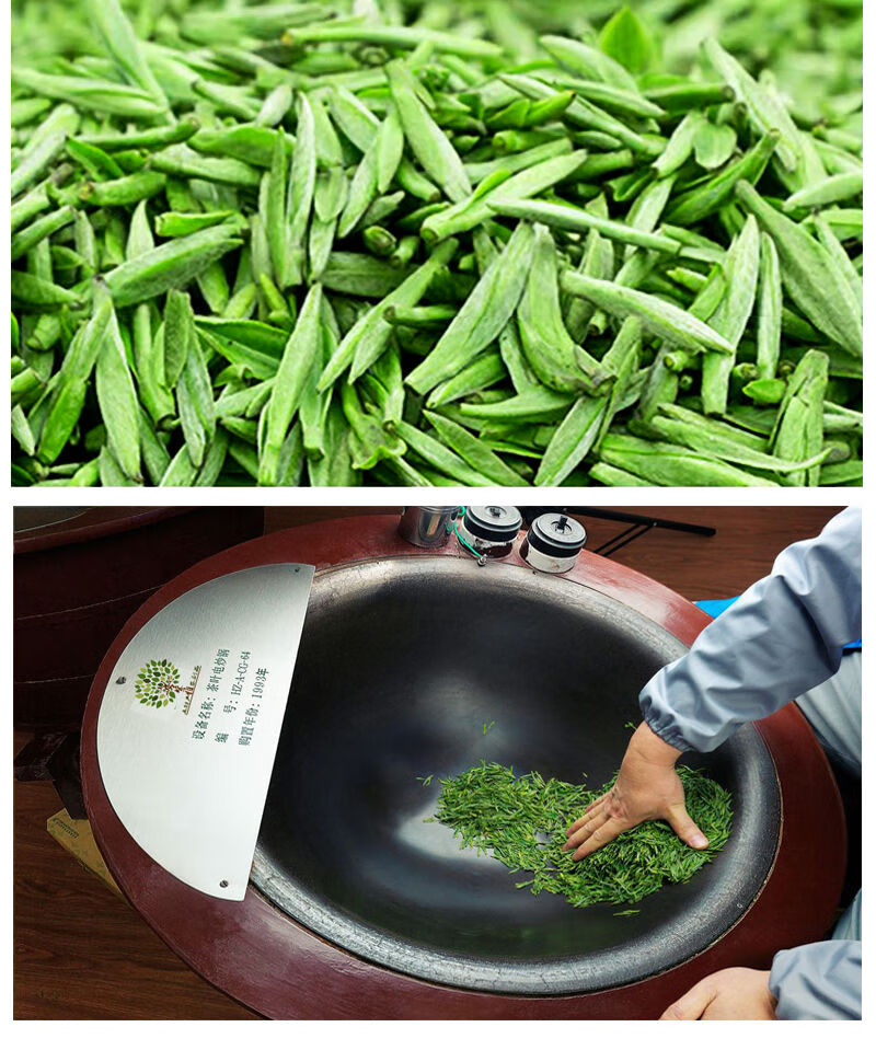 2021新茶 竹叶炒青茶叶清香型特级 明前雀舌茶叶四川绿茶 特级体验装