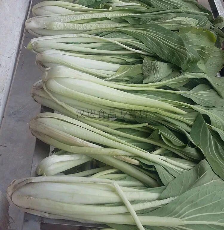 苏北产农家腌制咸菜缸腌长梗白菜整颗大白菜下饭菜火锅配菜 腌白菜五