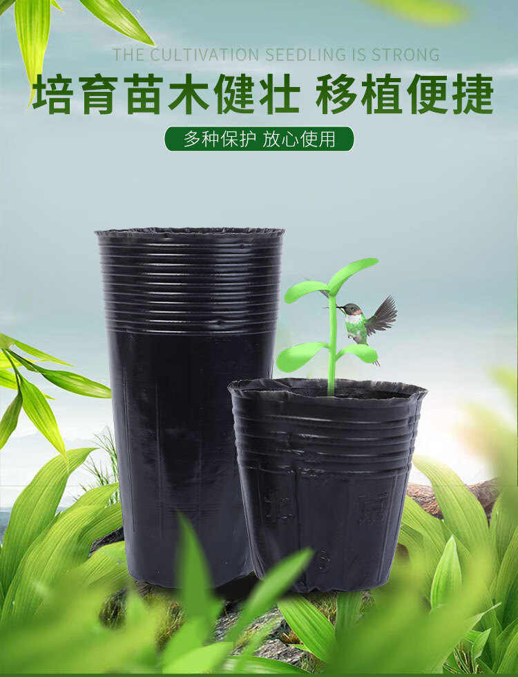 千特育苗杯营养杯塑料加厚一次性花盆育苗盆黑色育苗钵装土神器营养钵