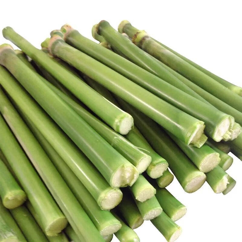 超甜甜杆种子 春夏秋四季播甘甜多汁 水果甜高粱杆籽北方小甘蔗孑 -量