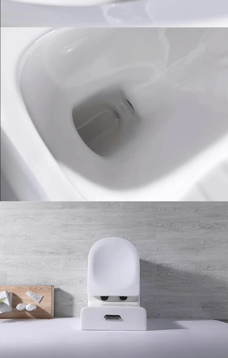 toto卫浴蹲坐两用马桶一体双用可蹲可坐无水箱脉冲家用抽水坐便器质保