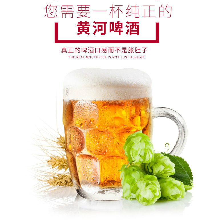 上海可發蘭州黃河啤酒500ml甘肅特色易拉罐罐裝瓶裝啤酒加500ml黃河王