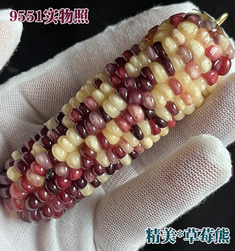 618d299adc464790.jpg