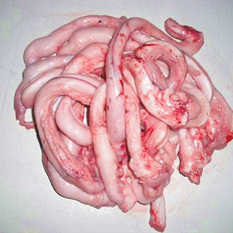 新鲜速冻羊鞭生羊鞭羊冷冻产品500克约11根左右-雨林食味 500g【图片