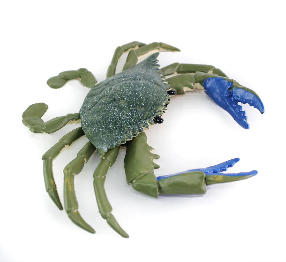 仿真海洋动物模型环保螃蟹玩具梭子青蟹35岁户外儿童男螃蟹红色