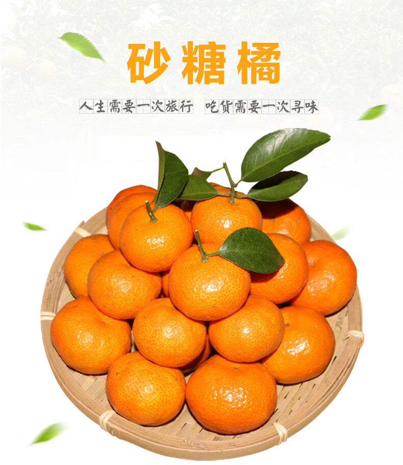 广西砂糖橘新鲜正宗沙糖桔无籽水果桔子小橘子整箱精品团购生鲜5斤