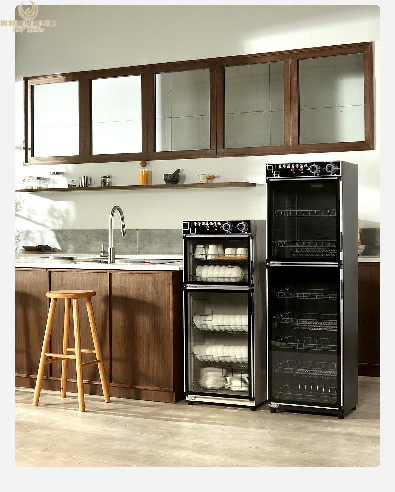 消毒柜家用小型消毒碗筷柜商用立式双门迷你饭店保洁柜厨房定制teaegg