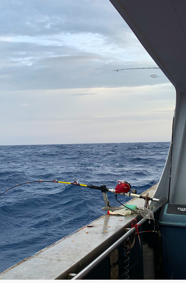 海釣配件天平釣組串鉤釣魚不鏽鋼沉底船釣深海打窩器打窩器定點野釣