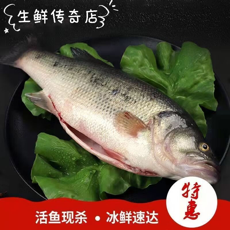 新鲜七星鲈鱼鲜活现杀真空包装全程冷链淡水鲈鱼新鲜美味清蒸鲈鱼腾旺