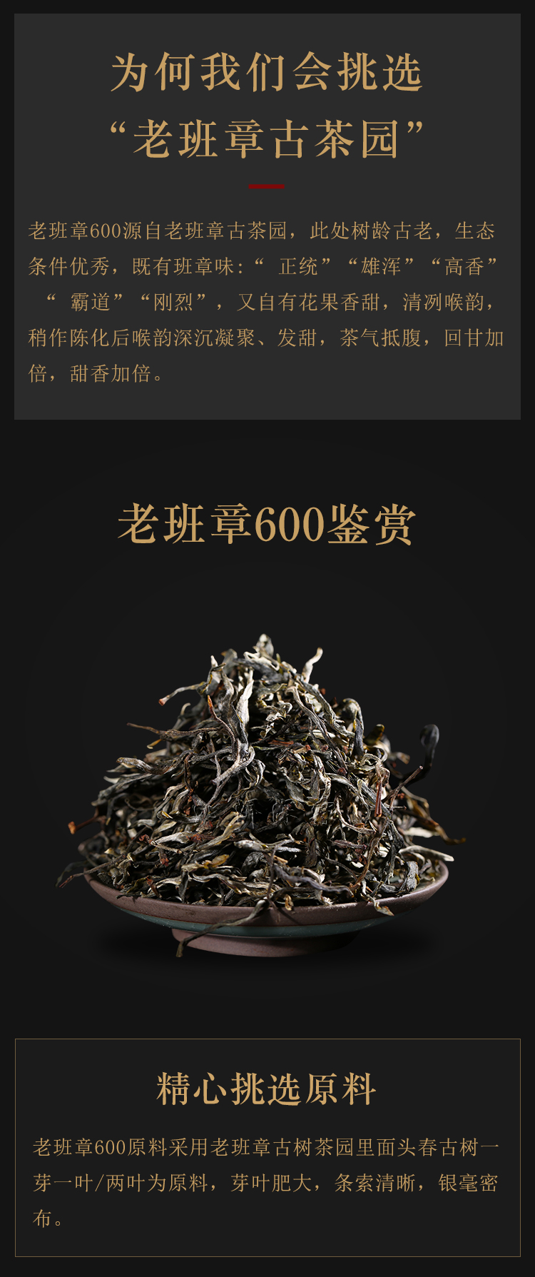 2021年老班章600头春古树纯料普耳生茶散茶500克装
