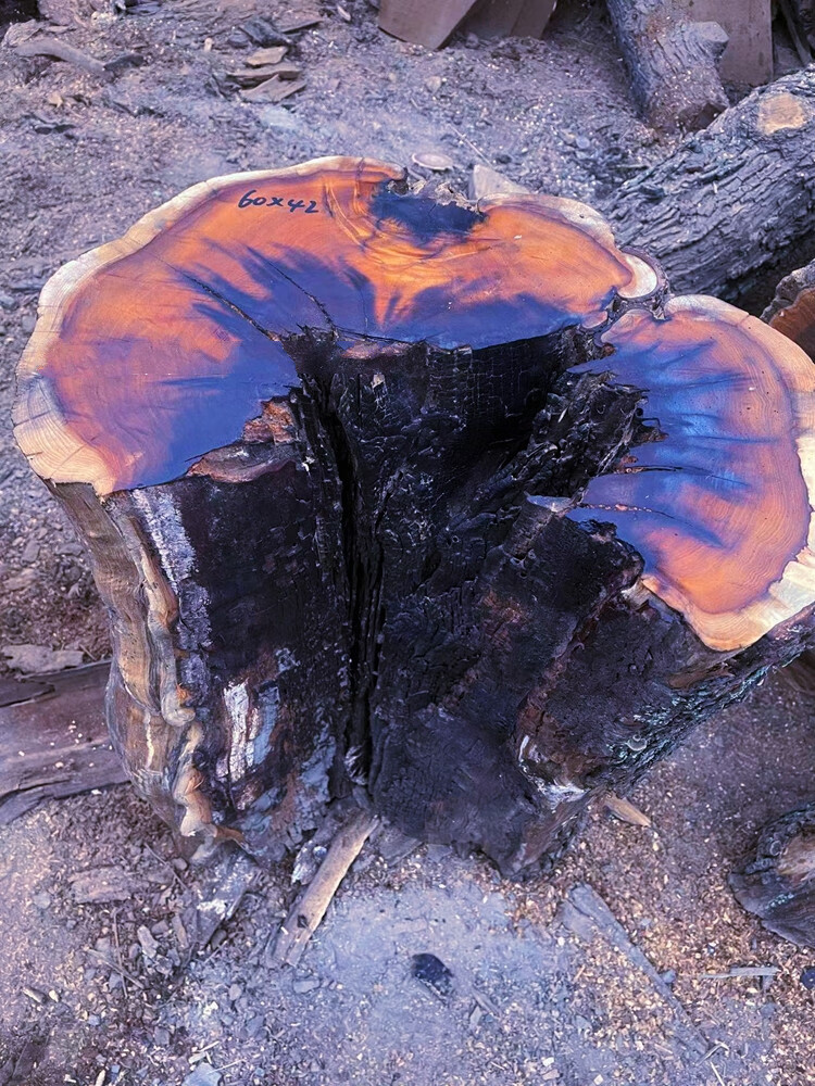 微韵 真正雷击枣树原木活树伐开料 雷劈枣木自然雷痕 道教实用 原木段