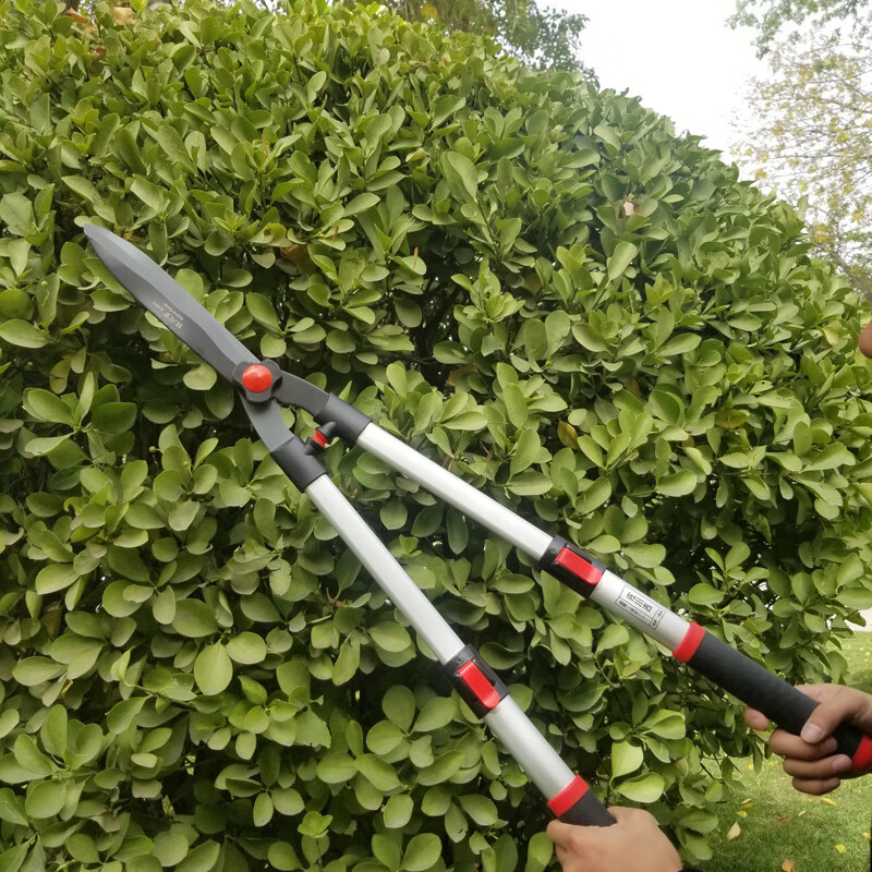 新款绿篱剪园林大平剪篱笆剪整枝剪整篱剪草剪园艺剪刀 2020