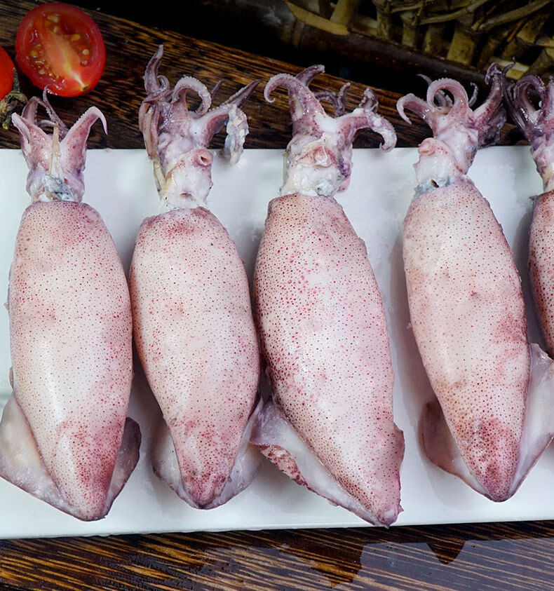 满籽籽乌全籽籽乌生鲜海兔笔管鱼墨鱼鱿鱼墨斗鱼烧烤海鲜精选原籽满籽
