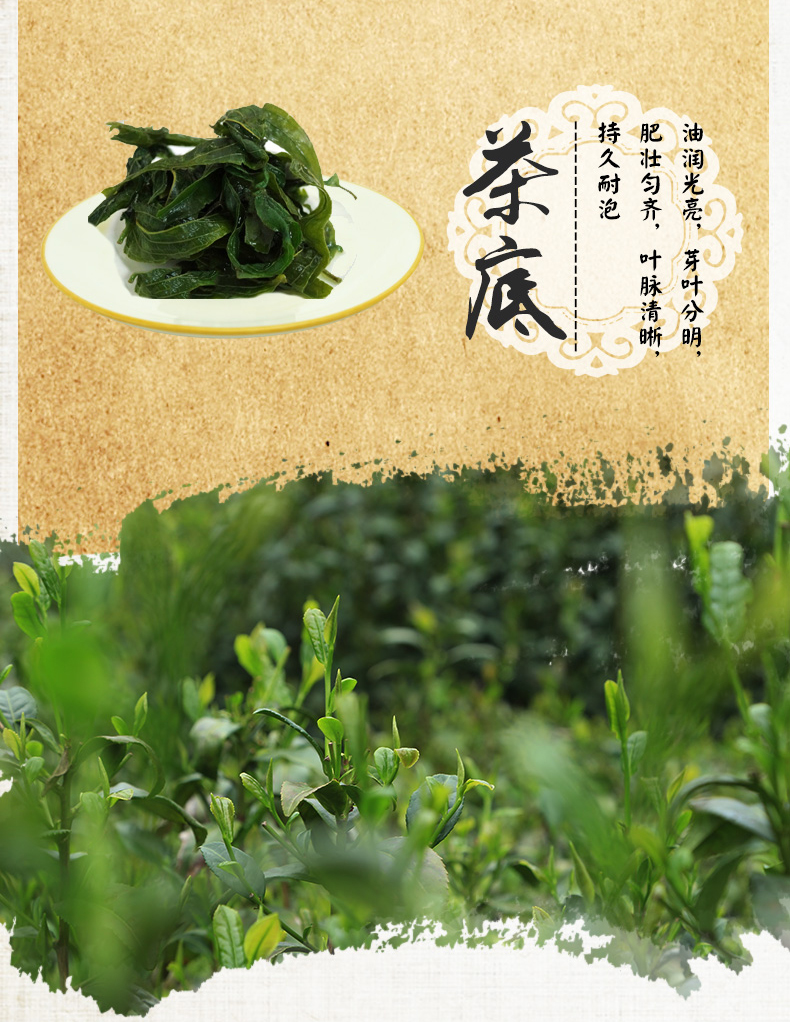 海南五指山黎青茶正宗原产地忧遁草茶黎清茶鳄嘴花茶黎王草茶默认