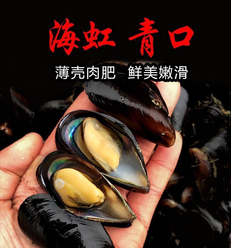顺丰当天捕捞鲜活青口贝新鲜海虹青口贻贝小淡菜海鲜水产整箱7斤小号