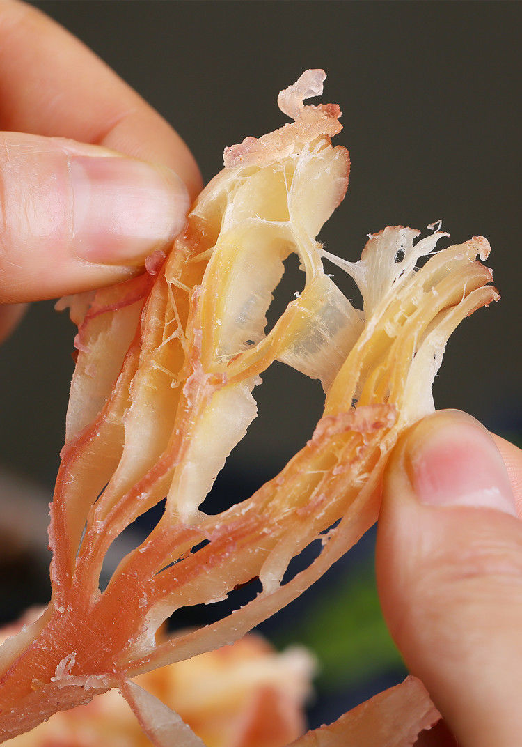 即食丝碳烤鱿鱼碎块手撕奶香味鱿鱼条鱿鱼丝鱿鱼片海鲜零食小吃奶香味