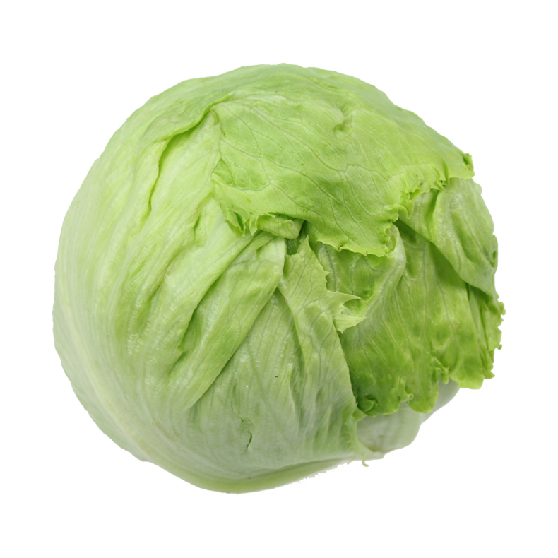 5kg 农家汉堡圆生菜西生菜蔬菜 5kg