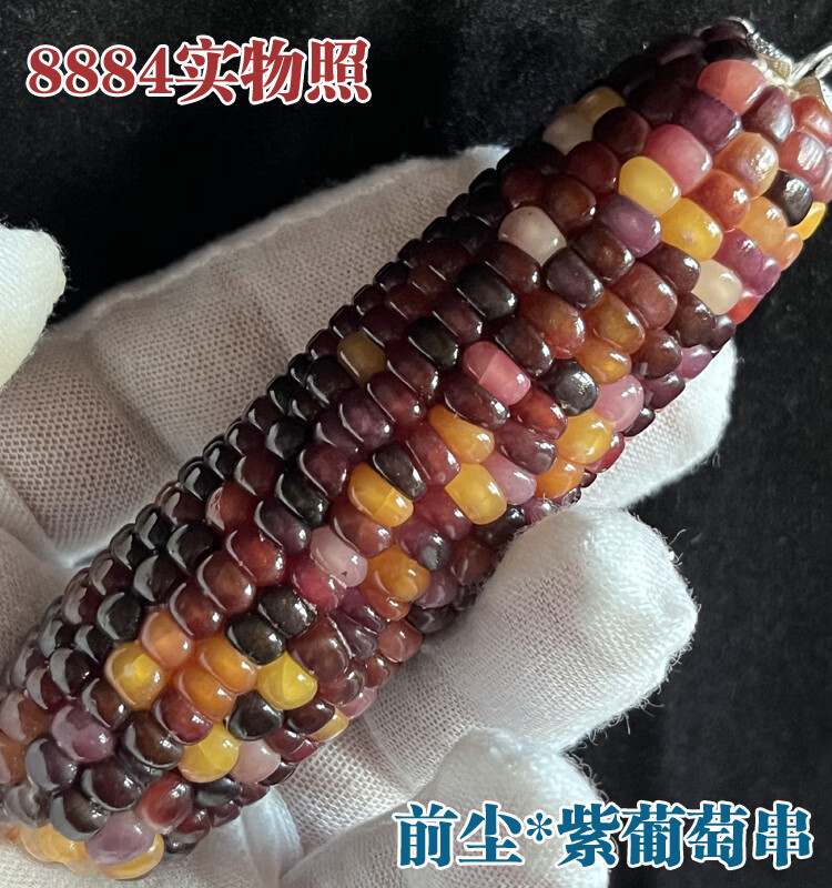 c6d704ce99d3d477.jpg