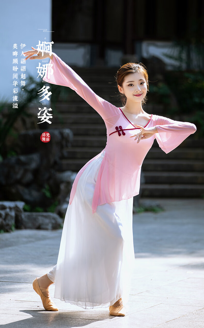 菲梵舞后中国民族古典舞上衣蹈练功服女成人身韵纱衣网纱飘逸跳舞上衣